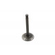 Nitrate Finish Exhaust Valve 11-0846