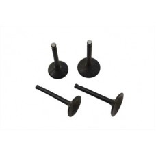 Nitrate Intake and Exhaust Valve Set 11-0679