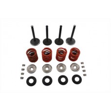 Nitrate Valve and Spring Kit 11-0796