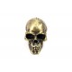 Skull Shifter Knob 21-0780