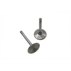 Stainless Steel Intake Valve 11-9012