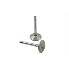 Stainless Steel Intake Valve 11-9020