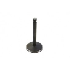 Stainless Steel Natural Intake Valve 11-1136