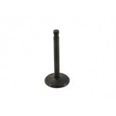 Stainless Steel Nitrate Intake Valve 11-9659