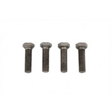 Tappet Adjuster Screw 10-0519