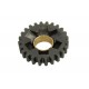 Transmission 3rd Gear 24 Tooth Stock 17-9829