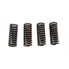 Valve Spring Set 13-0221